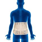 How Does a Spinal Brace Support Your Spine?